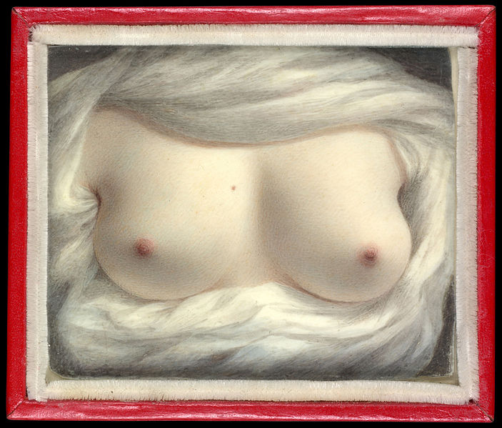 File:Sarah Goodridge Beauty Revealed The Metropolitan Museum of Art.jpg