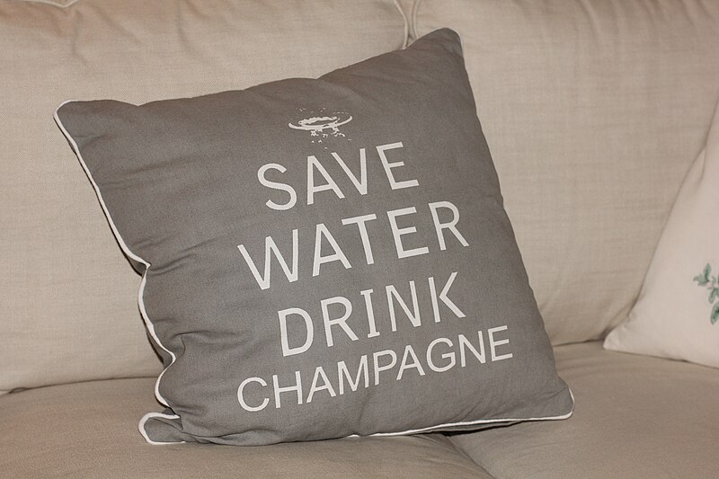 File:Save water drink champagne - pillow.JPG