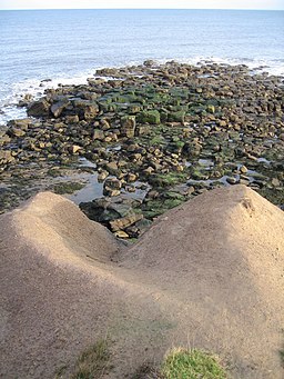 Sharpness Point.