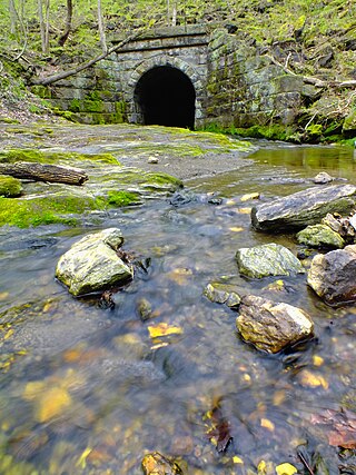 <span class="mw-page-title-main">Conestoga Township, Pennsylvania</span> Township in Pennsylvania, United States