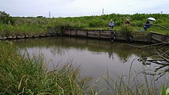 島村渡船