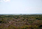 Miniatura para Manglares de arrecifes de Belice