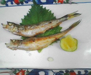 Shishamo Species of fish