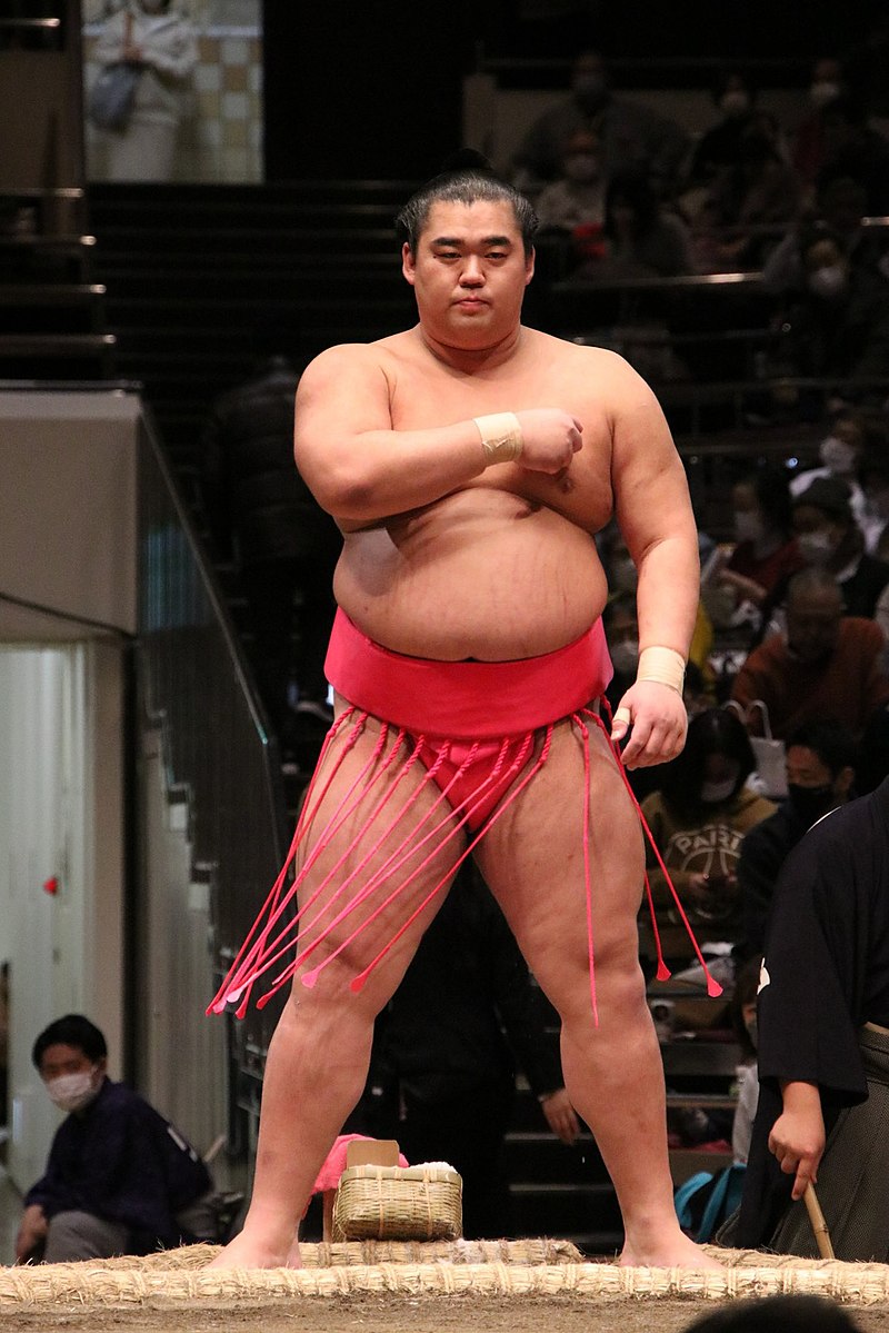 湘南乃海桃太郎 - Wikipedia