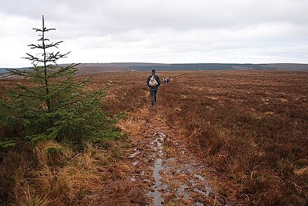 The hilltops are open heath and bog