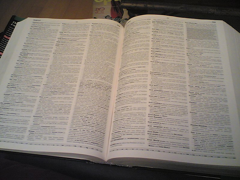 File:So many words.jpg