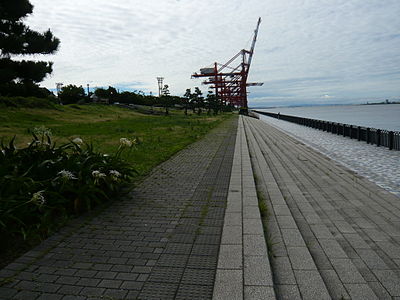 青海南ふ頭公園