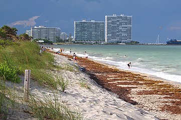 European Beach in Ft. Lauderdale, Florida