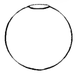 Sphere with sound hole.gif