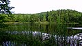 Stöcker See im Müritz Nemzeti Park 2011. aug. B.jpg