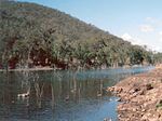 Thumbnail for Stanley River (Queensland)