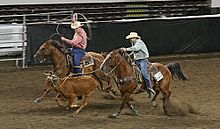 Team ropers in an indoor competition Steer Roping at the Kentucky State fair QUarter Horse show (2751833934).jpg