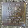 image=File:Stolperstein Ratingen Freiligrathring 19 Rosa Hirsch.jpg