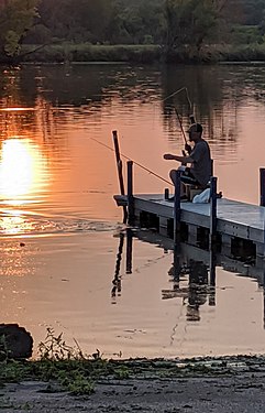 Man fishing for sheepshead at Happy Hollow Park, Janesville, Wisconsin, USA