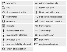 Synthetic Biology Open Language (SBOL) standard visual symbols.svg