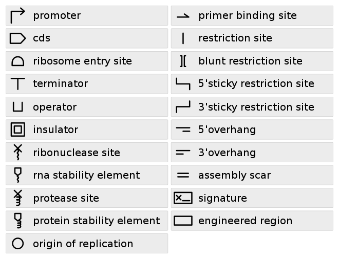 Synthetic Biology Open Language (SBOL) standard visual symbols for use with BioBricks Standard