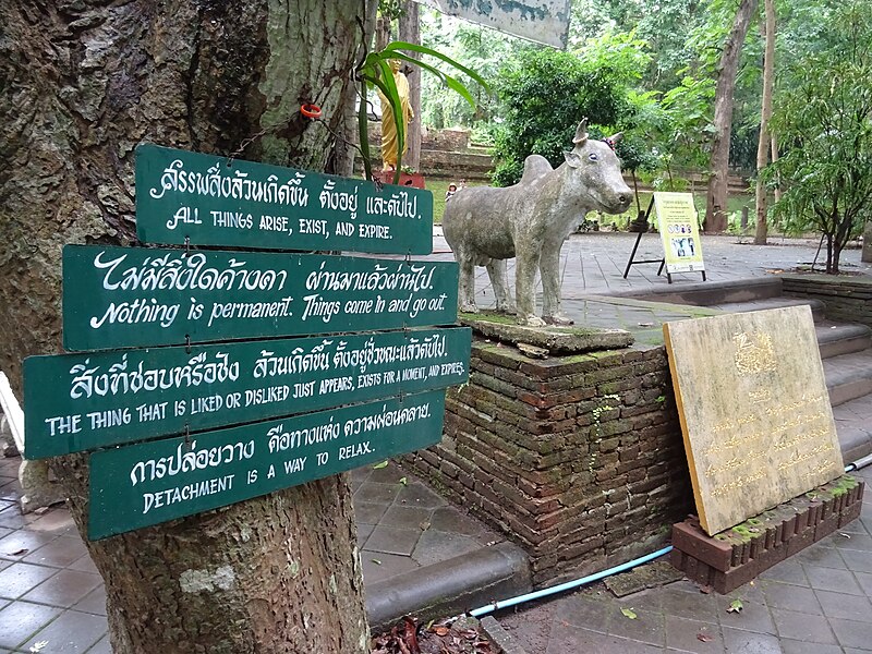 File:Talking tree at Wat Umong Suan Phutthatham.jpg