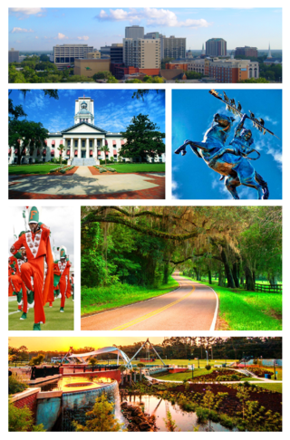 Tallahassee Header for Wikipedia 2.png