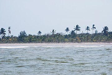 Ficheiro:TecolutlaBeach08.JPG