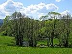 Teisnach (river)