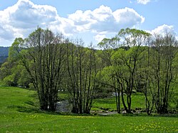 Teisnach bei Ruhmannsfelden.jpg