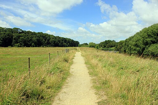 The Delamere Way at Dutton Park - geograph.org.uk - 4067435