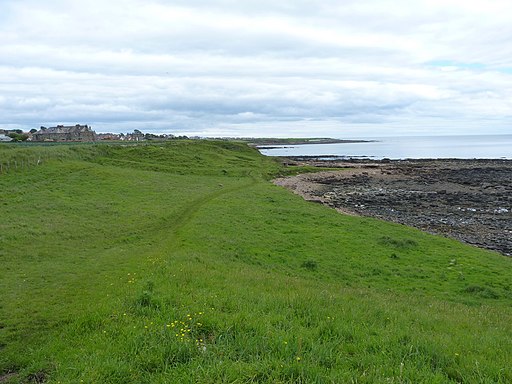 The Fife Coast path near Crail - geograph.org.uk - 3031293