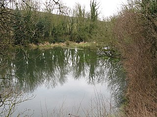 <span class="mw-page-title-main">River Dour</span> River in Kent, England