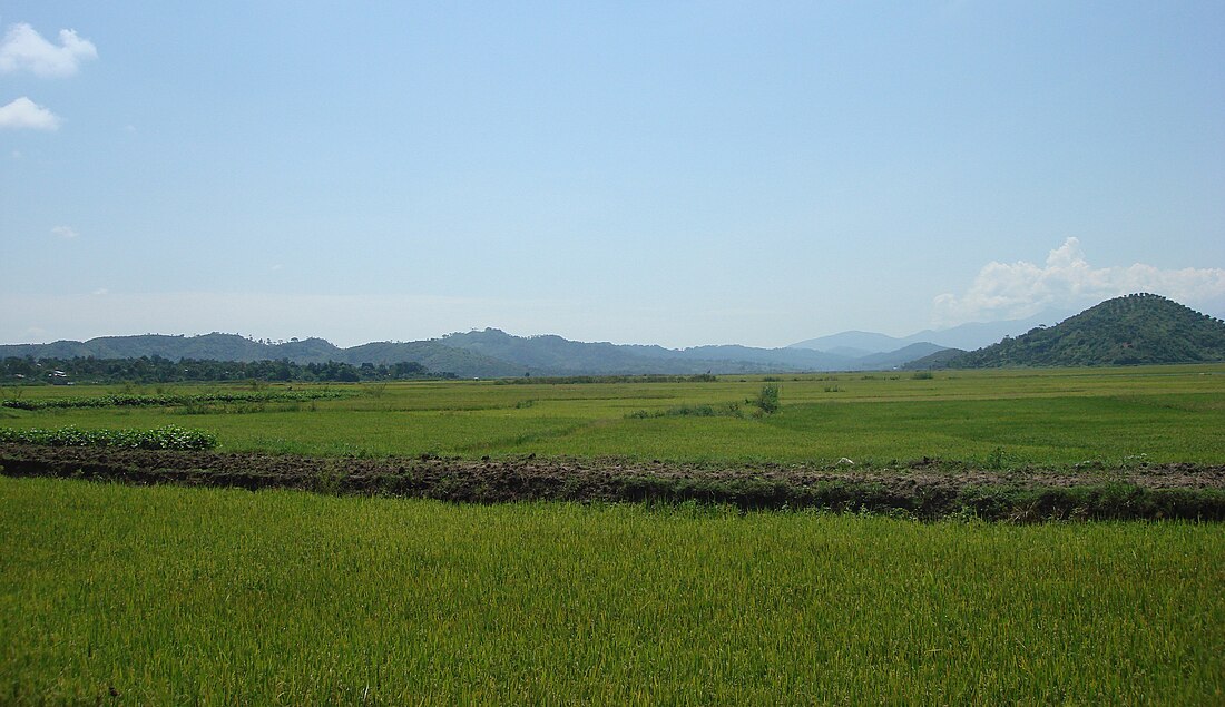 District de Quảng Điền