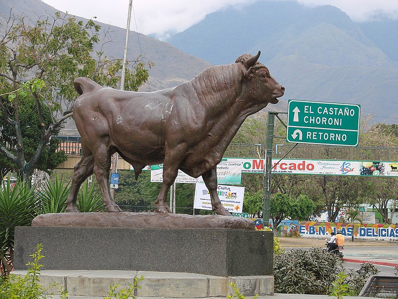 File:Toro de las delicias, maracay.jpg