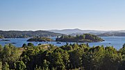 Vignette pour Réserve naturelle de Torvøya et Bjerkholmen