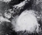 Typhoon Rita 10-22.png