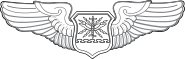 United States Air Force Navigator Observer Badge