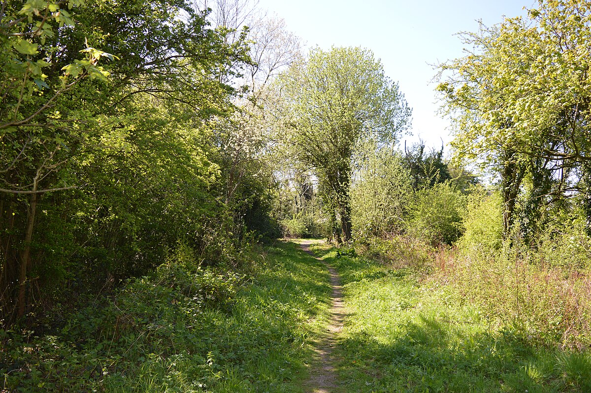 Uxbridge Alderglade