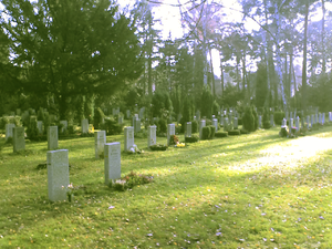 Friedhof Pankow Iii: Lage, Geschichte, Umliegende landeseigene Pankower Friedhöfe