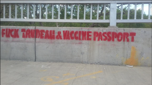 Vaccine Passports During The Covid-19 Pandemic