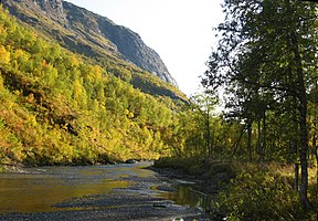 Vassdalselva Mağazasıbalak.jpg