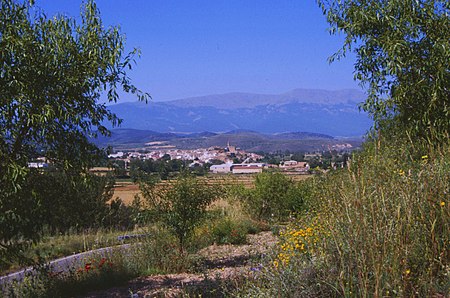 VeraDeMoncayo.jpg