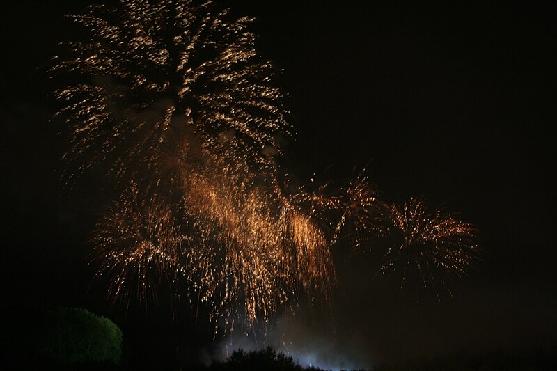 File:Versailles-Été 2010─Les grandes eaux nocturnes─74.jpg