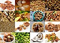 VocaDi: Diet – Nuts