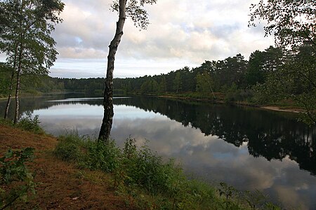 Waldsee Gifhorn 2019