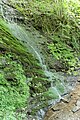 image=https://commons.wikimedia.org/wiki/File:Wasserfall_Dortebachtal.JPG