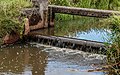 * Nomination Water weir in the Linde. Location, Beekdal Linde near the Bekhofplas. Water management of the Linde. --Agnes Monkelbaan 05:32, 9 December 2020 (UTC) * Promotion  Support Good quality. --Ermell 07:20, 9 December 2020 (UTC)