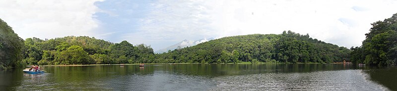 Wayanad lake