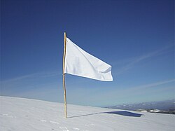 Hvidt flag
