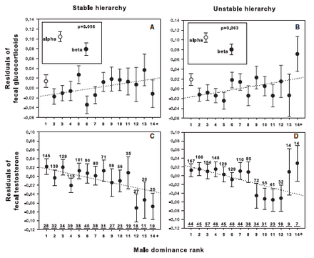 The effect of relative rank on stress hormone levels in savanna baboons Wikipedia project hormone.png