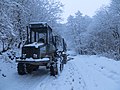 Winter Logging - Jan 2013 - panoramio.jpg
