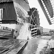 La roue à aube du moulin (1961).