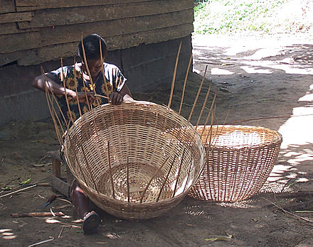 A woman weaves a basket near Lake Ossa, Littoral Region. Cameroonians practise such handicrafts throughout the country.