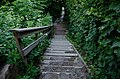 * Nomination Wooden stairs in Drammen.--Peulle 07:15, 23 August 2022 (UTC)  Support Good quality. --Poco a poco 11:16, 23 August 2022 (UTC) * Promotion {{{2}}}